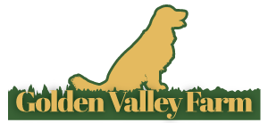 Golden Valley Farm